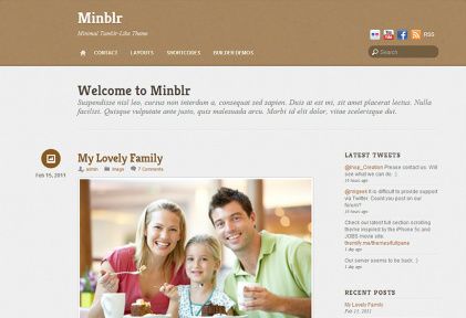 Minblr WordPress Theme Demo Themify Review