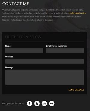 Contact Page - Photo Artist WP Photo Galley Theme
