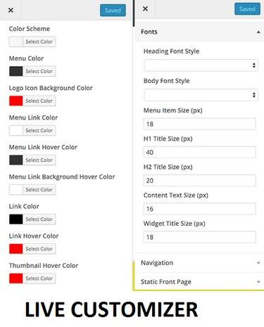 Live Customizer - ViralPro Theme Lipode Options for customization