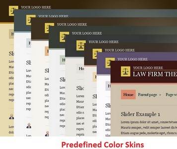 Predefined Skins - Color Styles BizzThemes