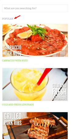 Sidebar widgets - iCook food blogging theme