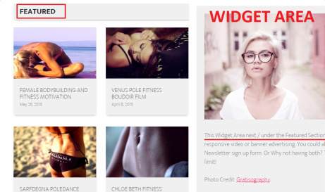 Featured Section - Widget Area - RichWP Video Theme
