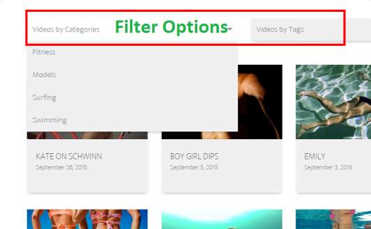 Filter Options - Video World homepage demo
