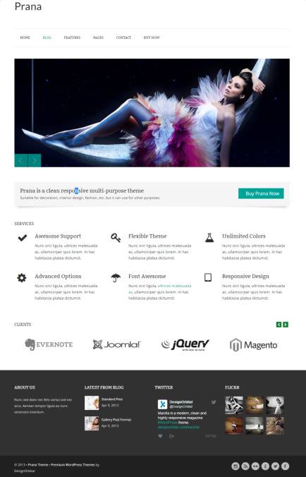 Prana Pro : DesignOrbital WordPress Business Theme