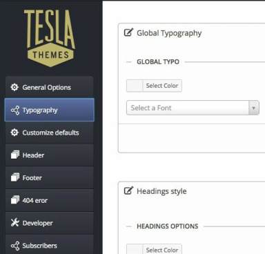 TeslaThemes Framework Options