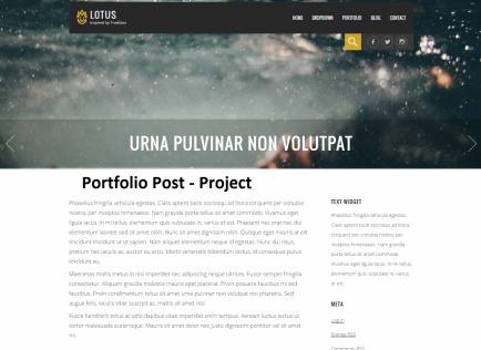 Portfolio Post – Lotus Business Theme