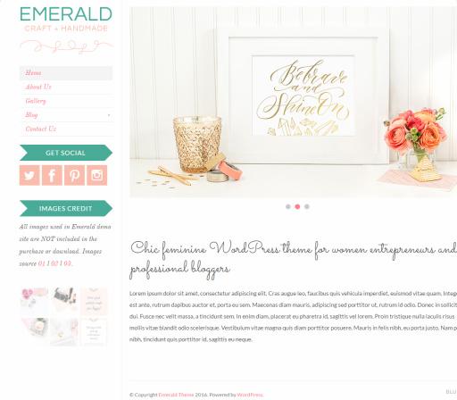 Bluchic Emerald : WordPress Blogging Theme