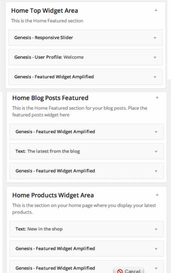 custom-homepage-widgets-fun-genesis-theme
