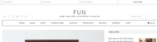 fun-header-genesis-blog-ecommerce-theme