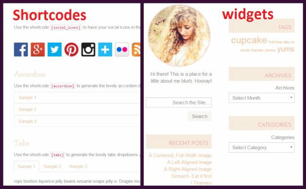 widgets-and-shortcodes-lucy-lou-blog-theme
