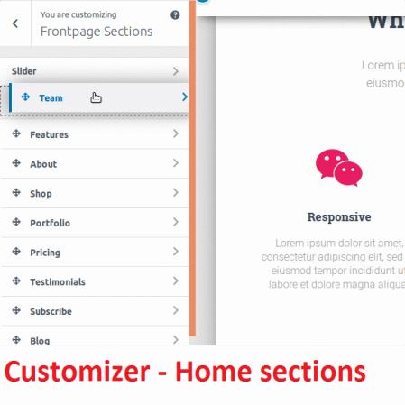 Customizer Options - Hestia Pro Frontpage Sections