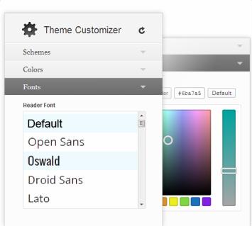 Styling Customization Options - Fonts and Color Skins