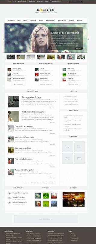 Elegant Themes Aggregate Demo : Magazine Style WordPress Theme