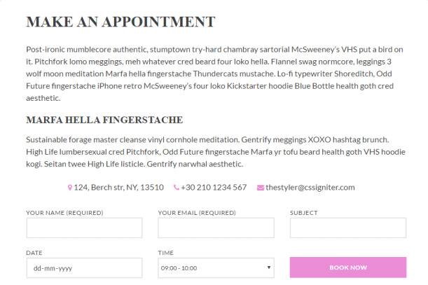 Appointment Form Support - The Styler