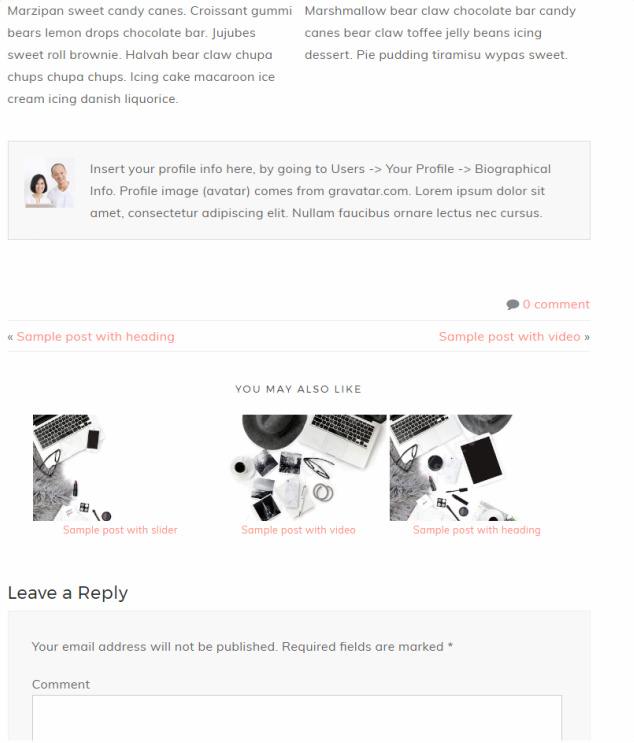 Single Post Features - Adelle Pro Chic Blogging Theme