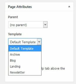 Page Template Attributes - No Sidebar Pro