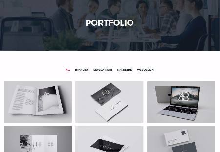 Portfolio - Business Pro