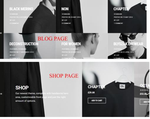 Blog and Shop Page - Karl Theme