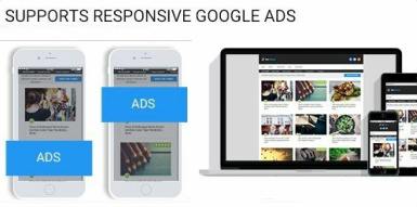 Adsense Ads - Responsive Blog Theme