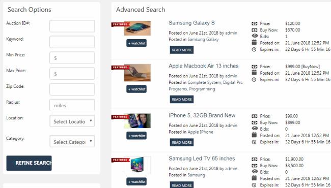 Auction - Advanced Search Options