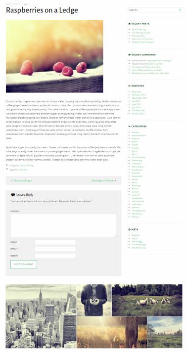 Puzzle Demo ThemeIsle – Responsive Portfolio WordPress Theme