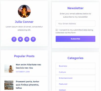 Unique Widgets for Sidebar Footer