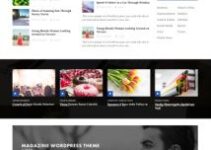 PublishNow – HappyThemes Reviews Best Magazine WordPress Theme