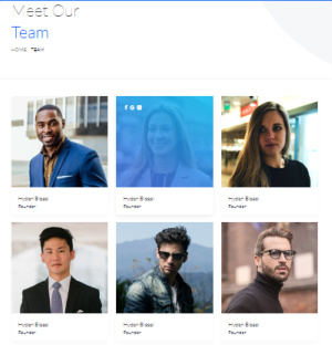 Bizness Team Page