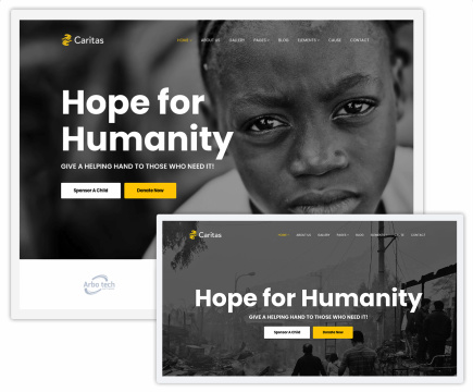 Caritas Homepage Variations