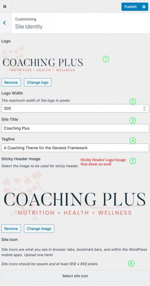 Coaching Plus Customizer Theme Options