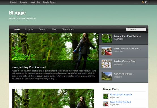 Bloggie WordPress Theme : Themify Review