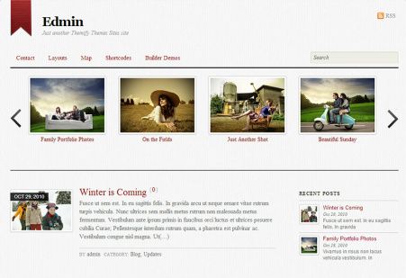Edmin WordPress Blogging Theme : Themify