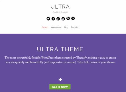 Ultra Flexible WordPress Theme : Themify Review