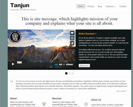 Tanjun : BizzThemes WordPress Business Theme