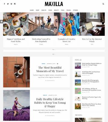 DesignOrbital Maxilla – Magazine WordPress Theme