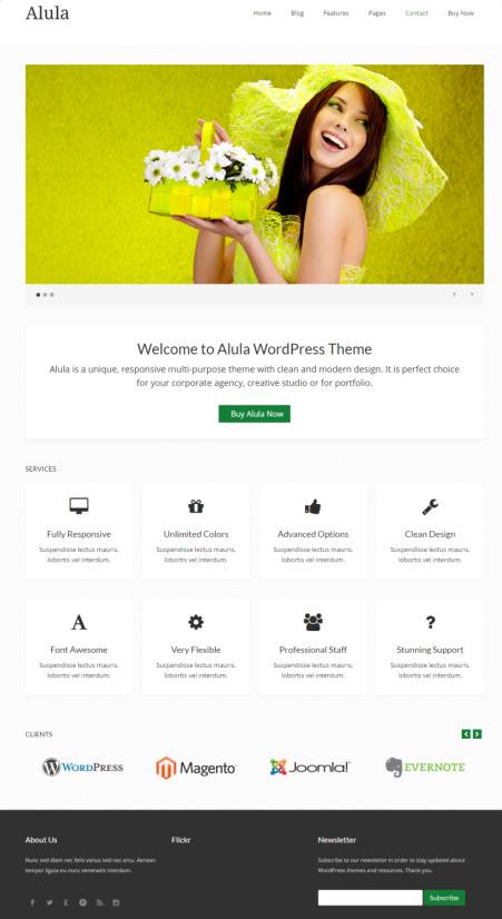 Alula Business WordPress Theme – DesignOrbital