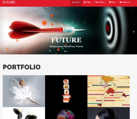 DesignOrbital Future Pro – Business Portfolio Theme