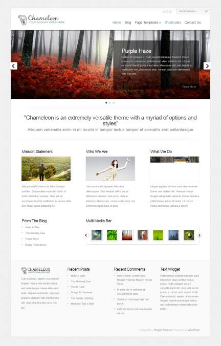 Elegant Themes Chameleon Demo : Business WordPress Theme