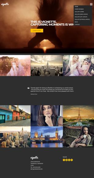 Vignette CSSIgniter : WordPress Photography / Gallery Theme