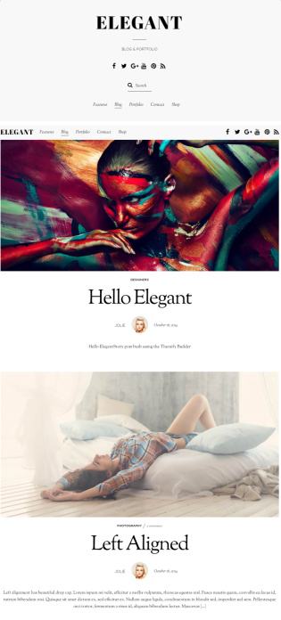 Themify Elegant : Blog/Portfolio WordPress Theme