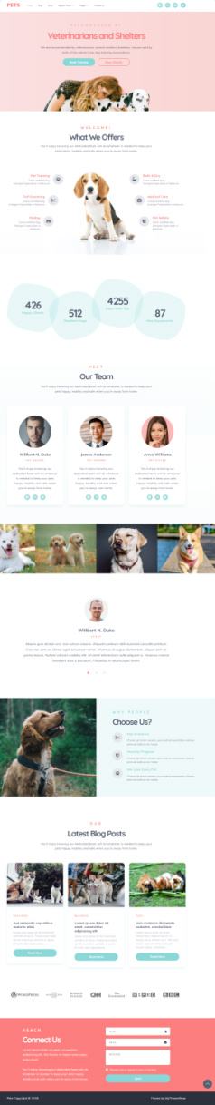 Pets MyThemeShop – Pet Care Blog / Shop / Veterinary Theme