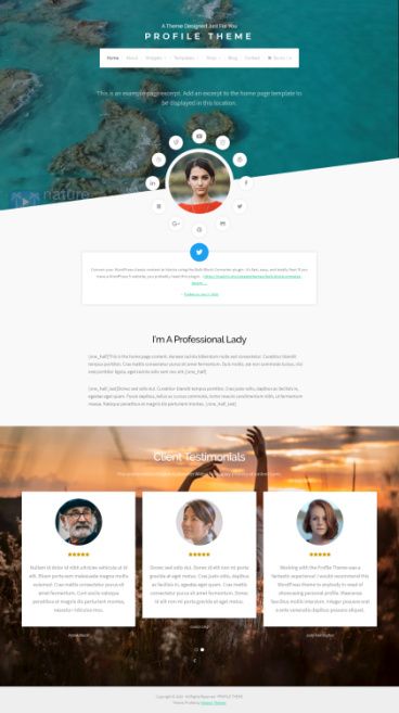 Organic Themes – Profile : Personal Resume WordPress Theme
